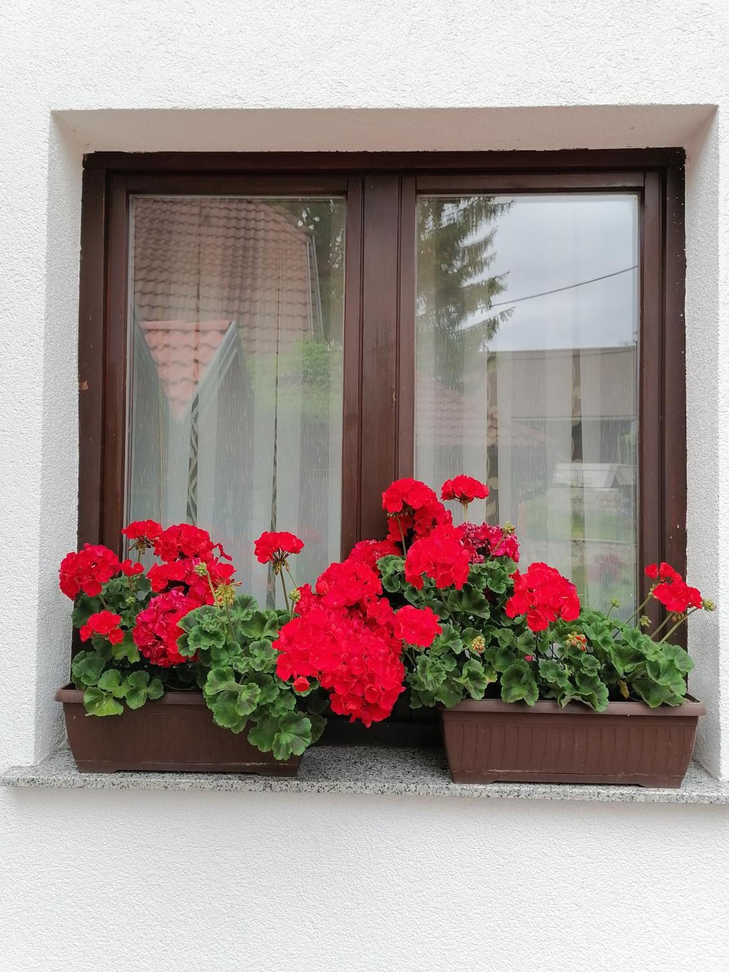 House Jezerka Hotell Jezerce Rum bild