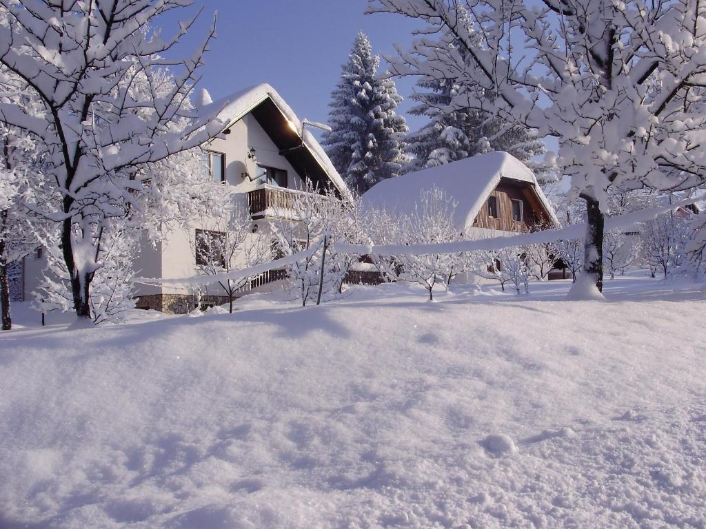 House Jezerka Hotell Jezerce Rum bild
